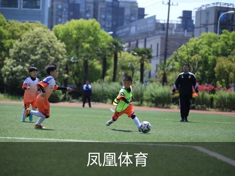FH体育 (凤凰)官方网站-FHSPORTS